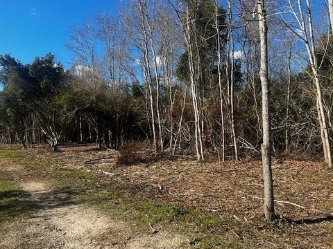 LAND - Theodore, AL
