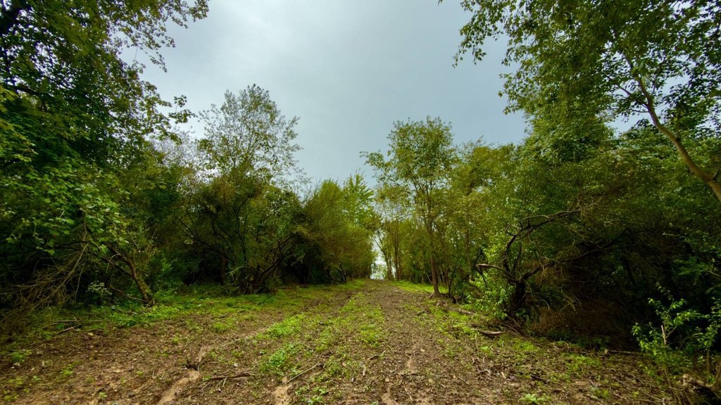 Picture 25