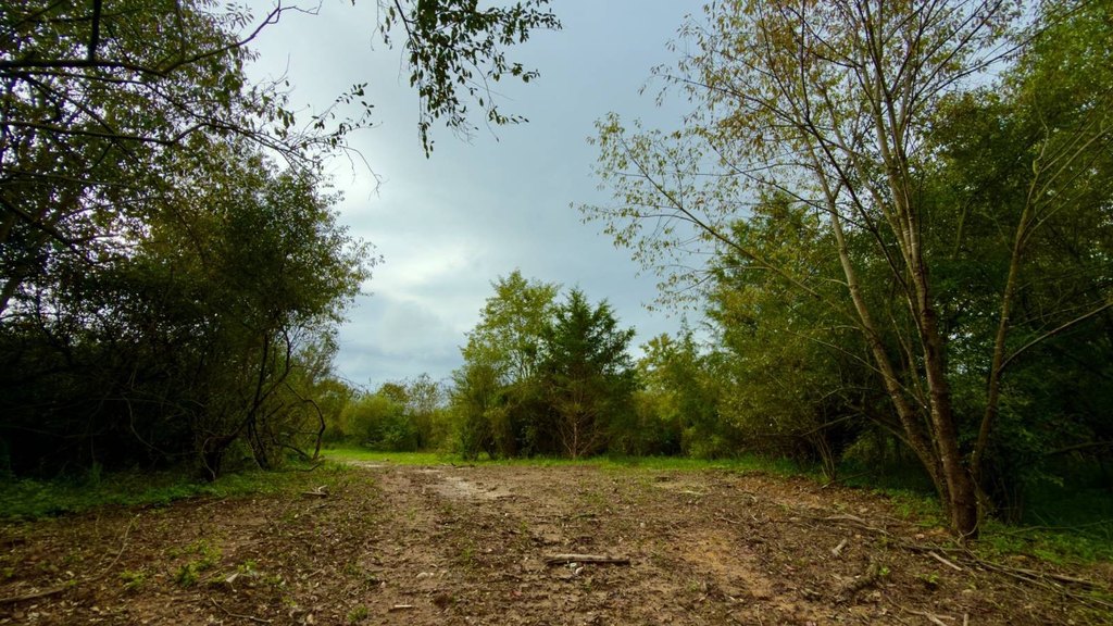 Picture 29