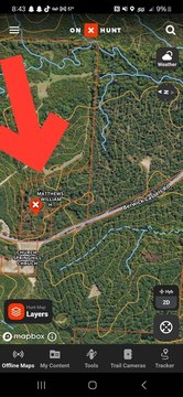 10 Acres of Mixed Timber