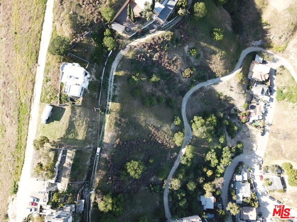 Picture 12