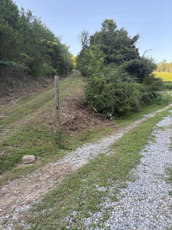 Picture 18