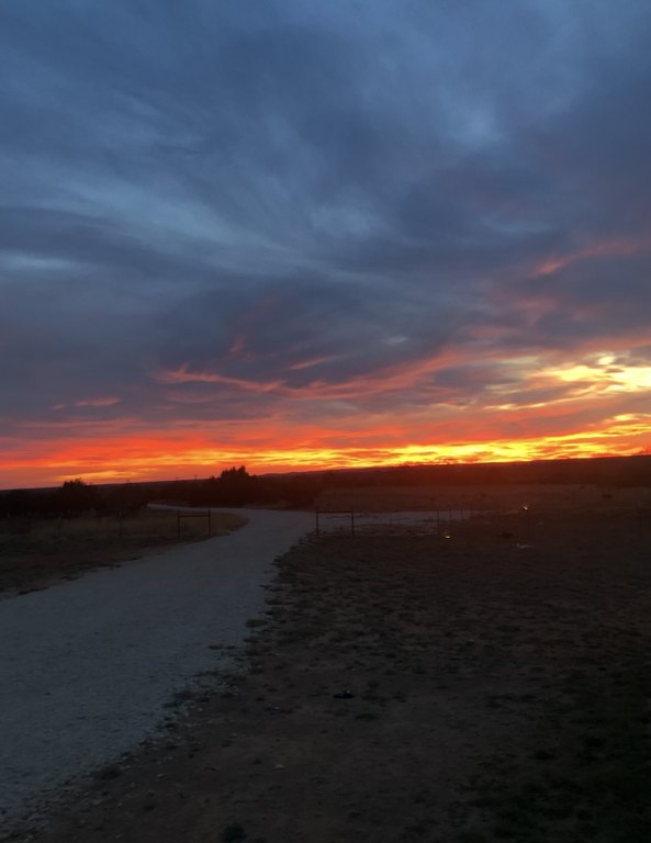 Picture 37