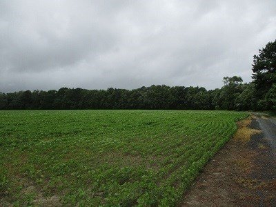 Picture 3