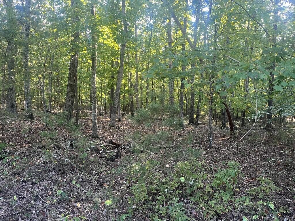 Picture 3