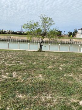 Land, Port Isabel, TX