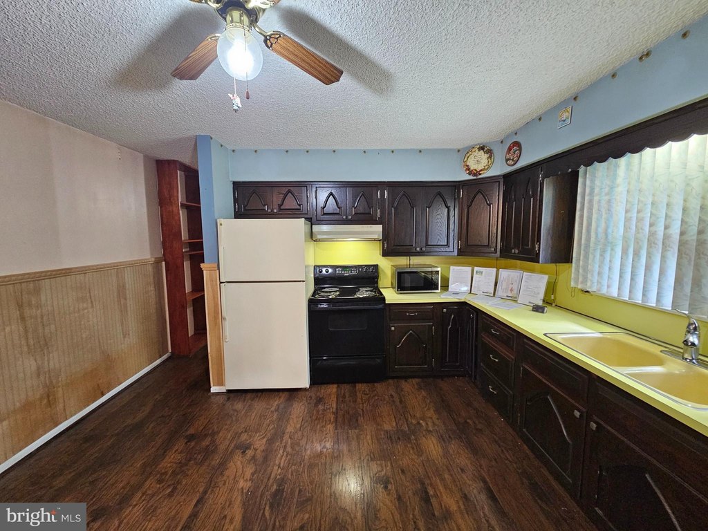 Picture 20