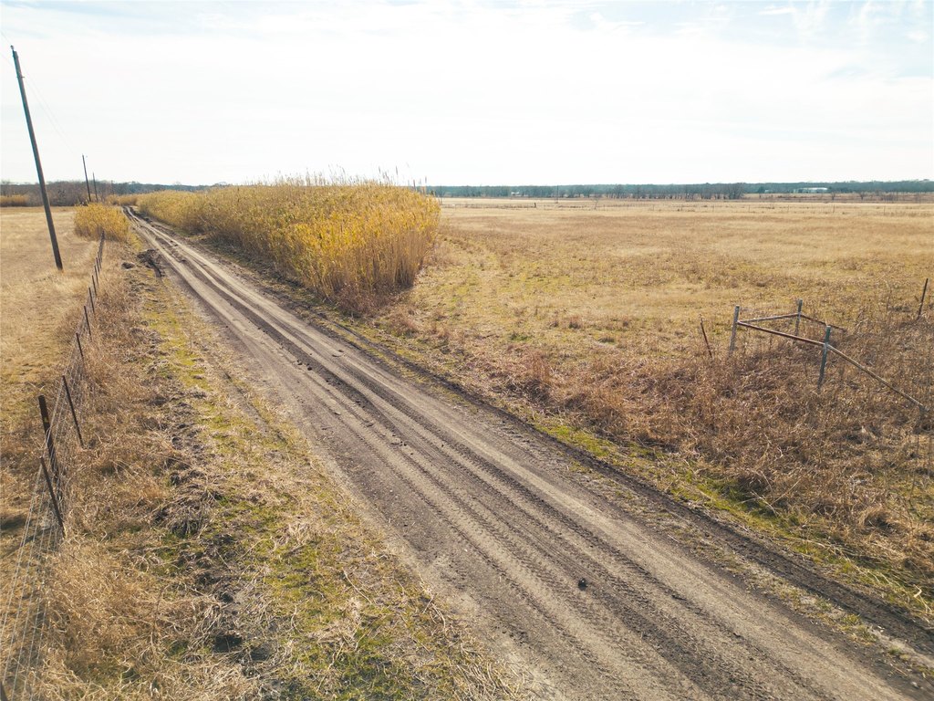 Picture 15