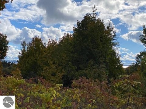LAND - SUTTONS BAY, MI