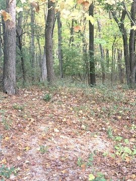 Land, WAUPACA, WI