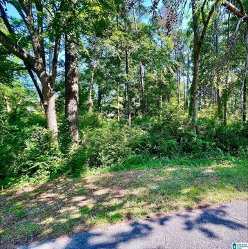 LAND - GARDENDALE, AL