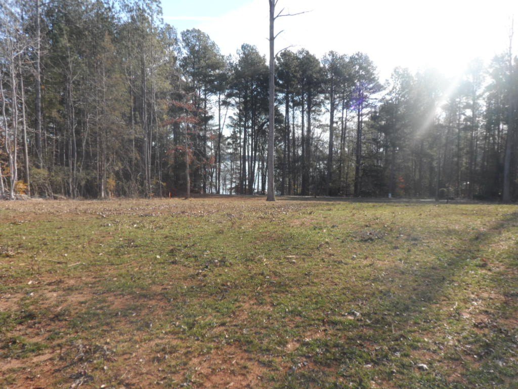 Picture 12