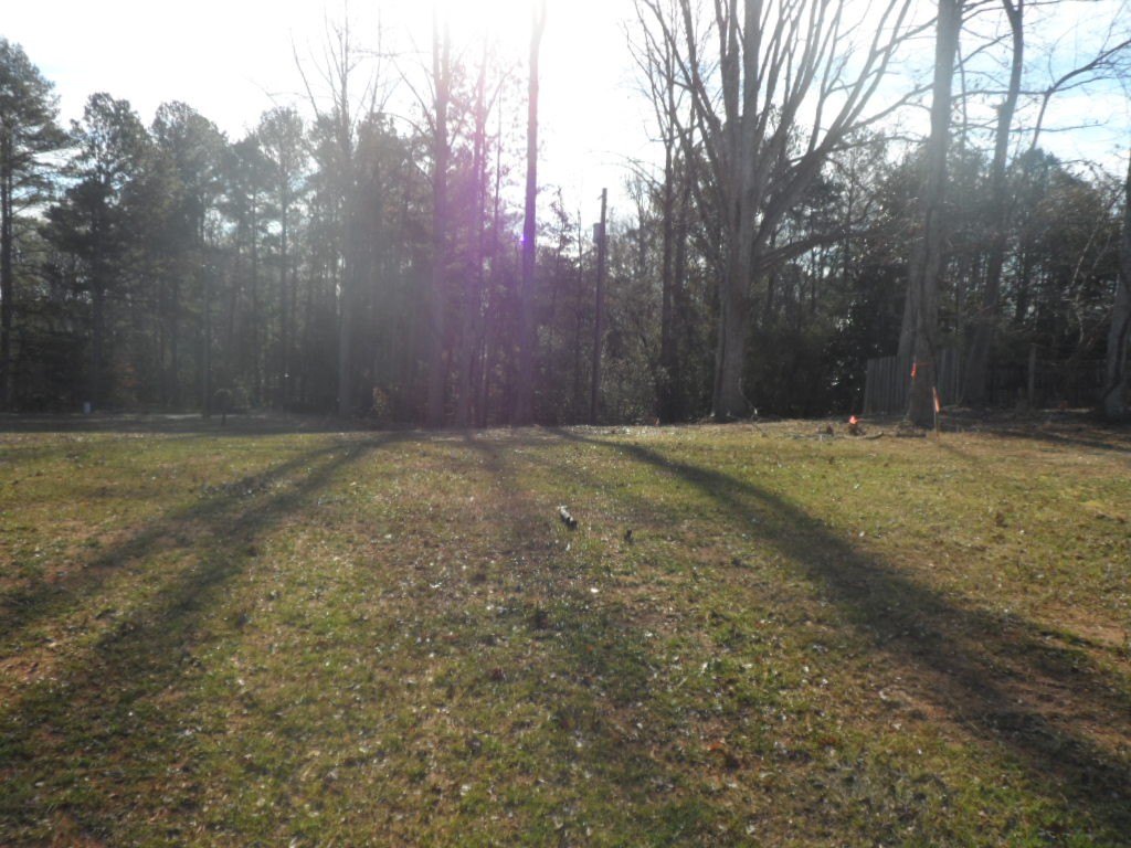 Picture 13
