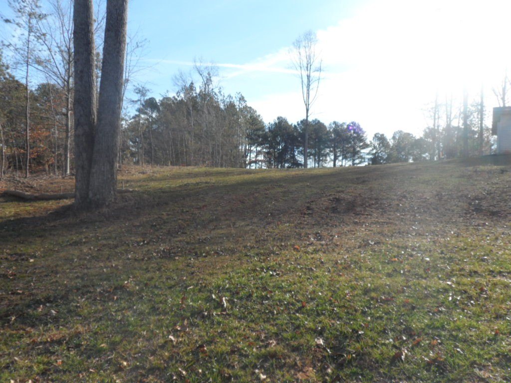 Picture 10