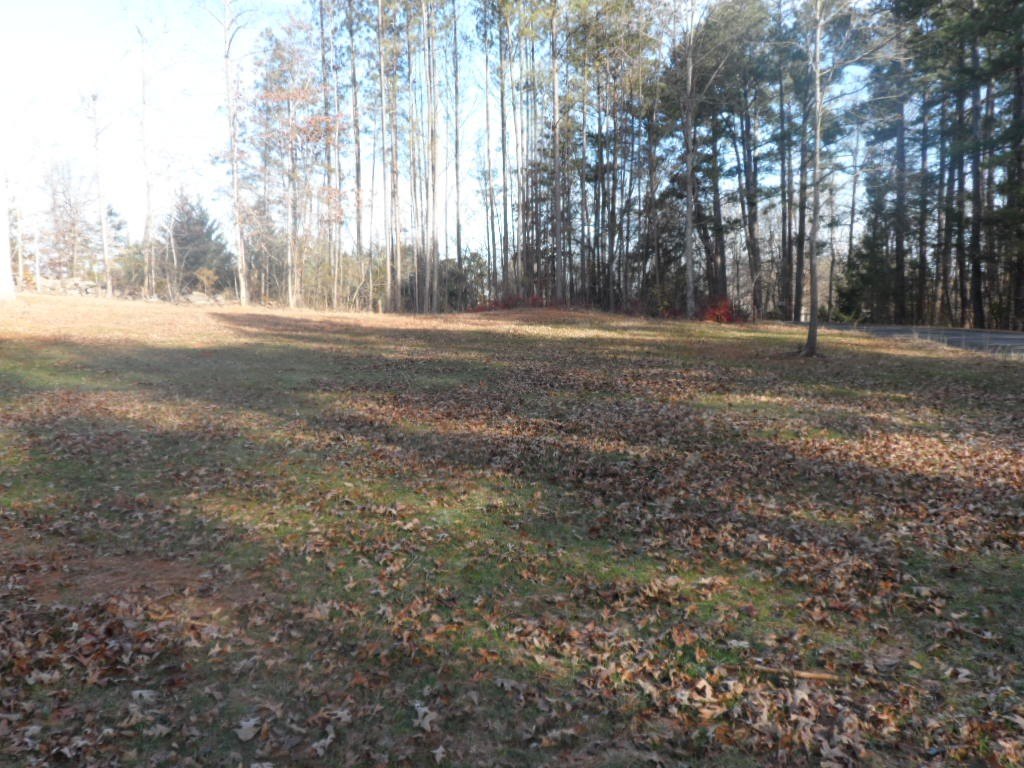 Picture 4