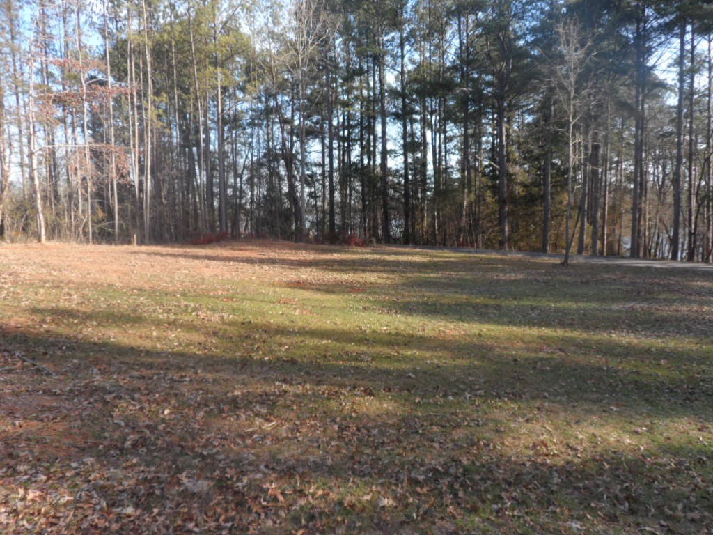 Picture 3