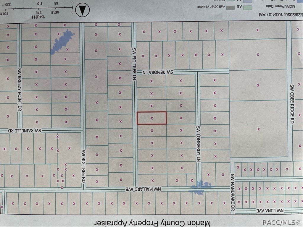 Wooded Lot in Rainbow Lakes
