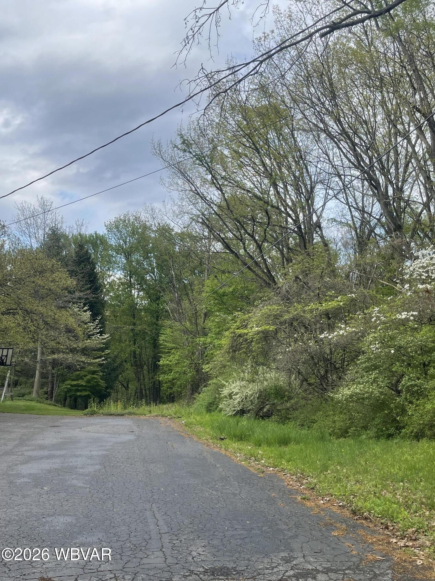 Wooded Land in Montoursville, PA