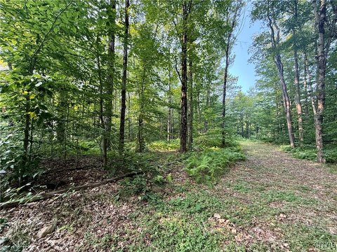 5.63 Acres Near Camden, NY