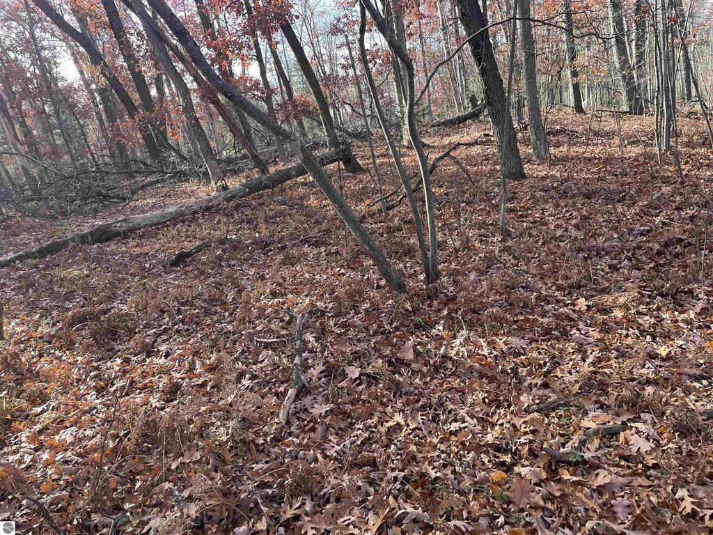 Picture 3