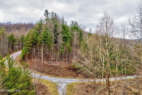 Del Rio Land with Views