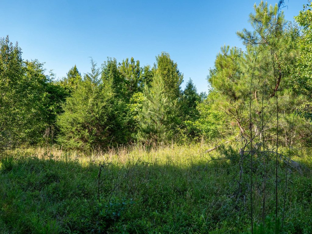Picture 16