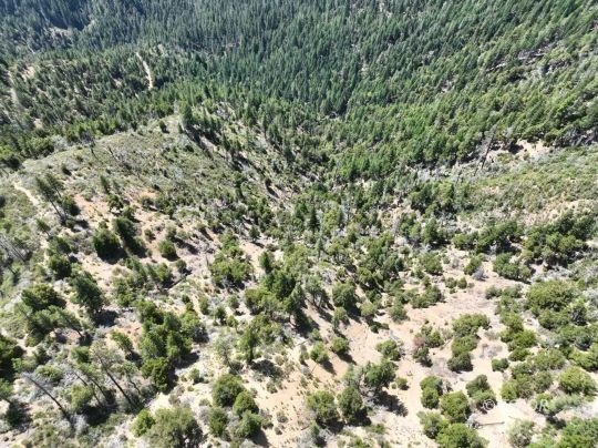 160 Acres Timberland Preserve, Hyampom