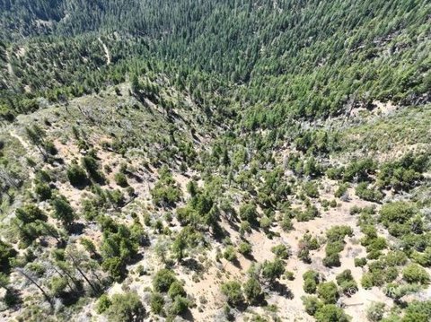 160 Acres Timberland Preserve, Hyampom