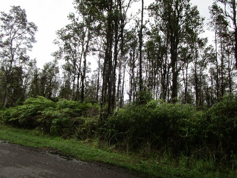 Land in Mountain View, HI