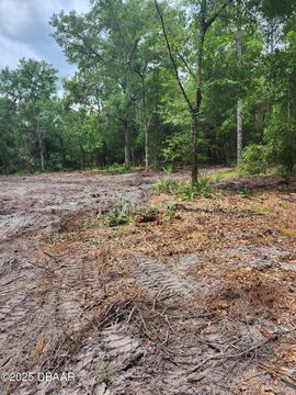 Cleared Land Near St Johns