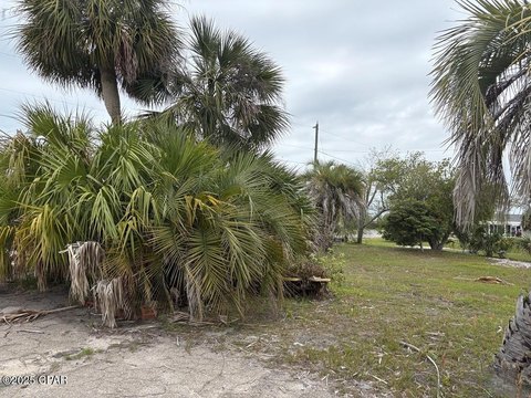 LAND - Mexico Beach, FL
