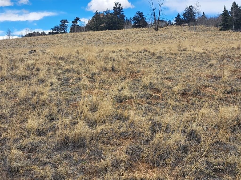 Picture 10