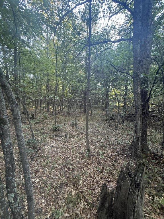 Picture 13