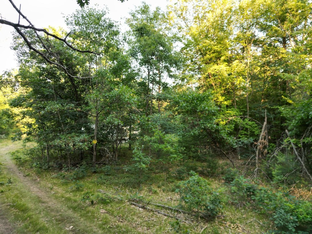 Picture 17