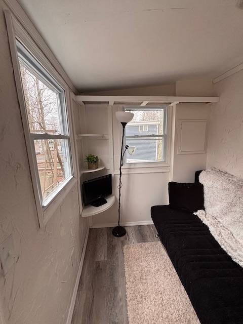 Picture 6