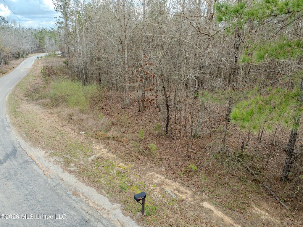 Picture 14
