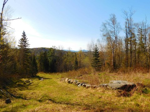 Colebrook Land Near Trails