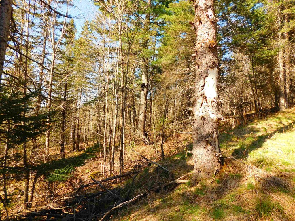Picture 16