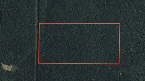 80 Acres Ozark Timberland