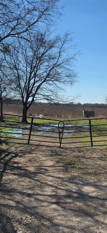 Picture 26