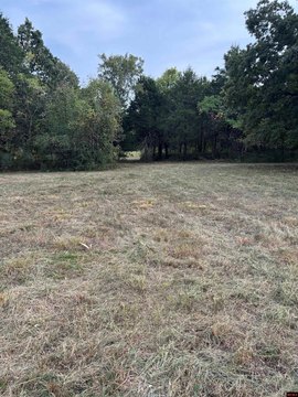 LAND, Flippin, AR