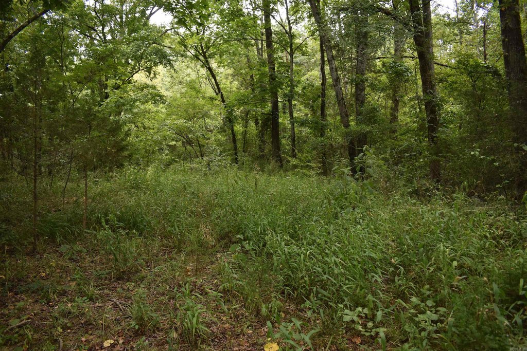 Picture 41