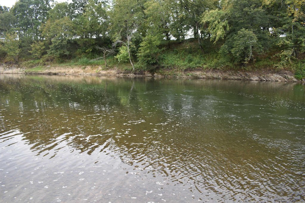 Picture 23