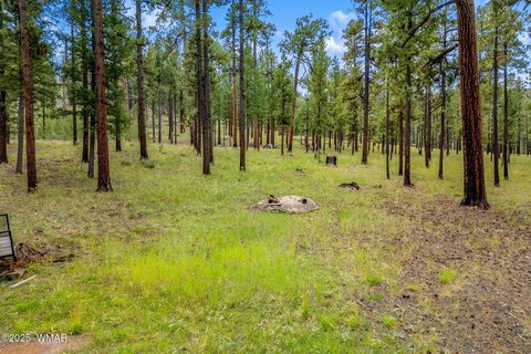 Greer, AZ Land For Sale