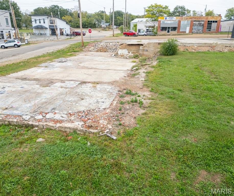 Picture 11
