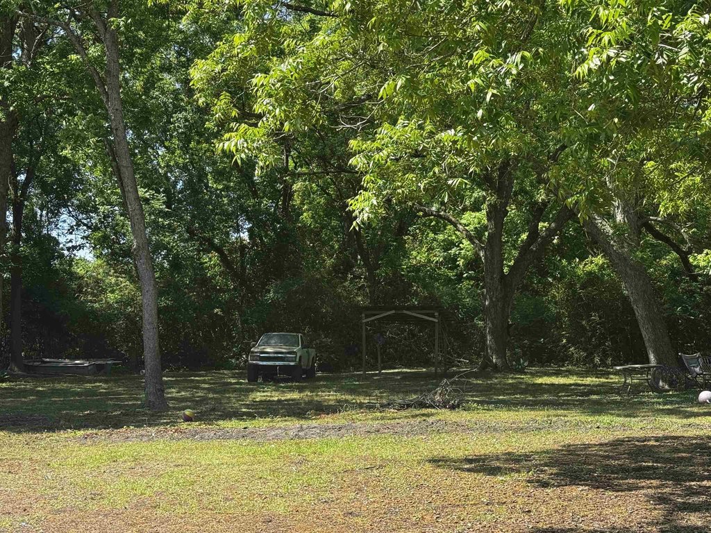Picture 41