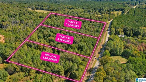 LAND/LOTS, DELTA, AL