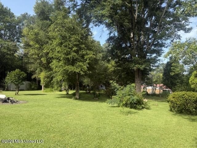 Picture 6