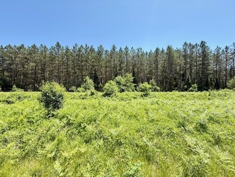 Hayward, MN Land Opportunity