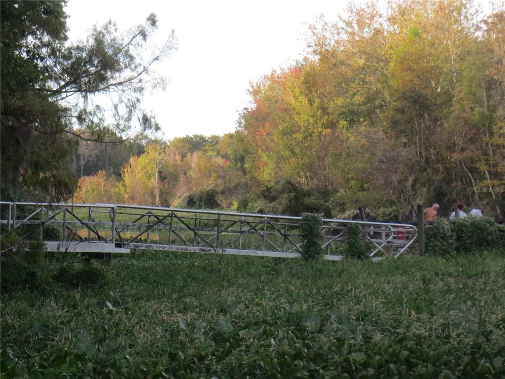 Picture 31